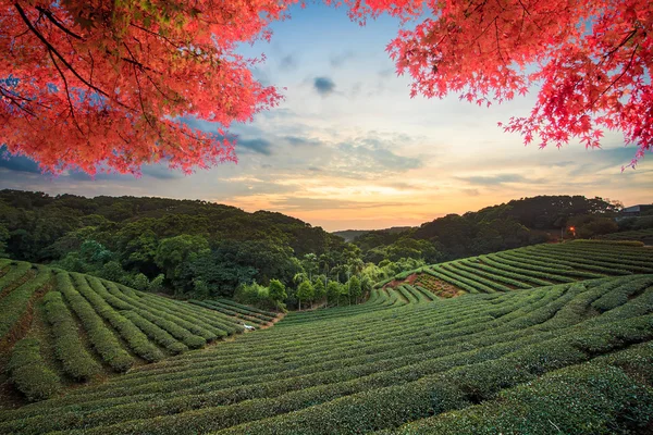 Imagen de paisaje hermoso, Taiwán — Foto de Stock