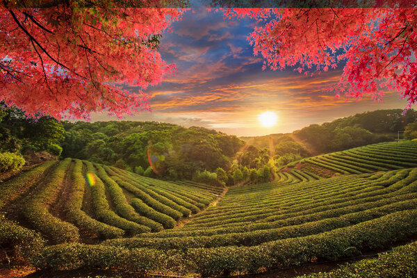 Image of beatiful landscape, Taiwan