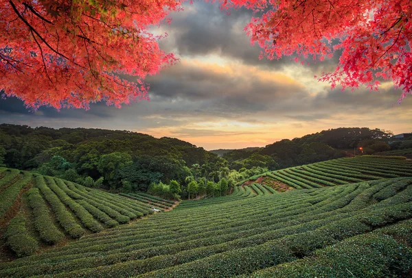 Bild der schönen Landschaft, Taiwan — Stockfoto