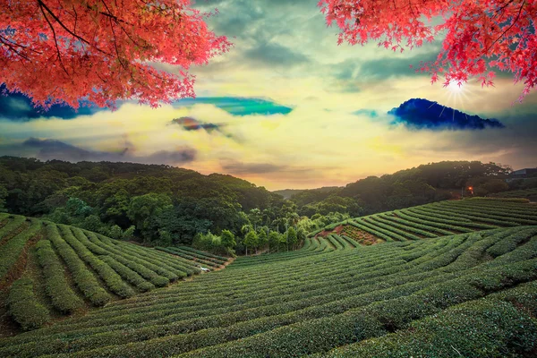Изображение прекрасного пейзажа, Тайвань — стоковое фото