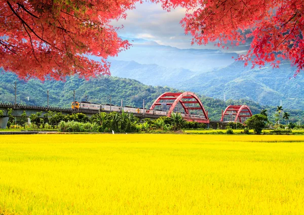 Immagine di paesaggio bello, Taiwan — Foto Stock