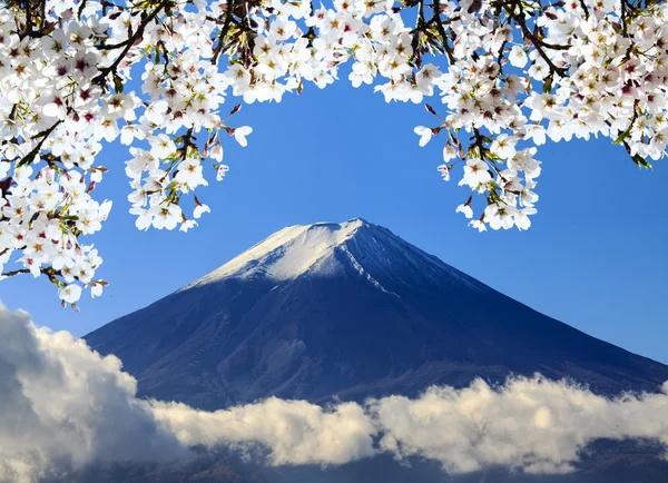 The sacred mountain of Fuji in the background of blue sky at Jap — Stock Photo, Image