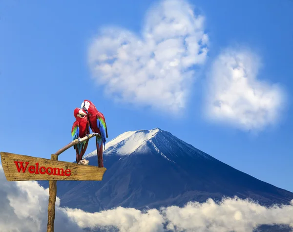 The sacred mountain of Fuji in the background of blue sky at Jap — Stock Photo, Image