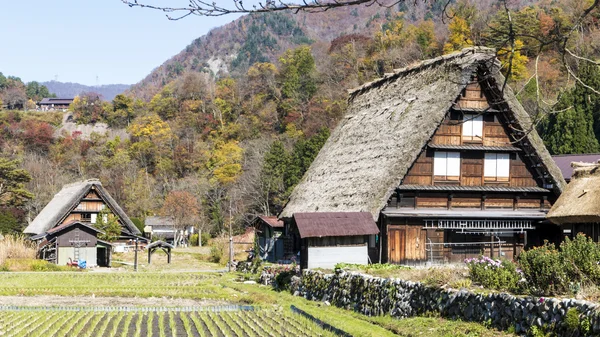 Historická vesnice Shirakawa-gand Gokajama — Stock fotografie