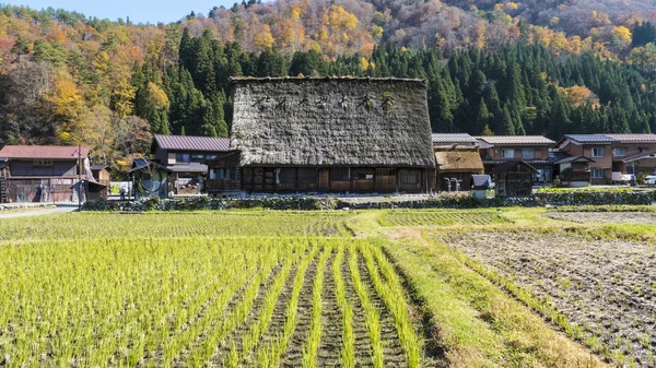 De historische dorpen van Shirakawa-gand Gokayama — Stockfoto