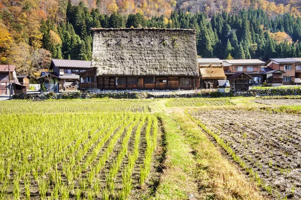 De historische dorpen van Shirakawa-gand Gokayama — Stockfoto