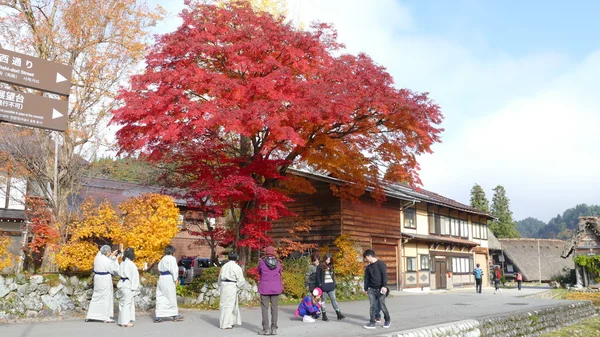 Historická vesnice Shirakawa-gand Gokajama — Stock fotografie