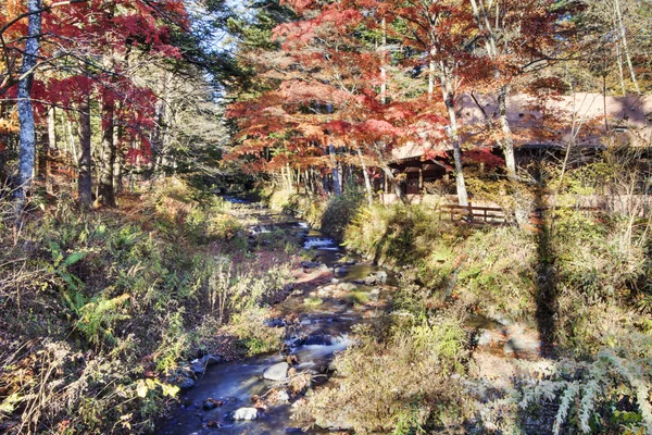 Karuizawa är en stad i Kitasaku — Stockfoto