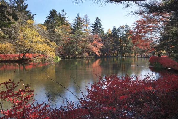 Gölet, Karuizawa, Nagano, Japonya'nın sonbahar renk — Stok fotoğraf