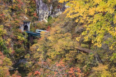 Değil-Gorge Japonya'da sonbahar renkleri