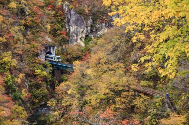 Değil-Gorge Japonya'da sonbahar renkleri