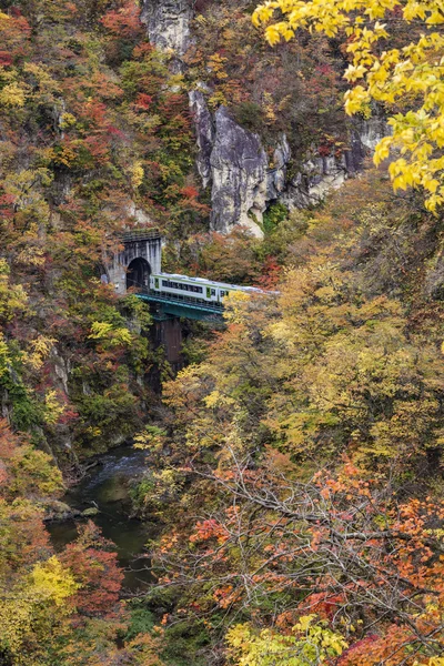 Осенние цвета Наруко-ущелья в Японии — стоковое фото