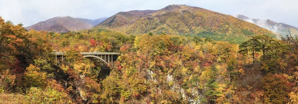 Couleurs automnales de Naruko-Gorge au Japon — Photo