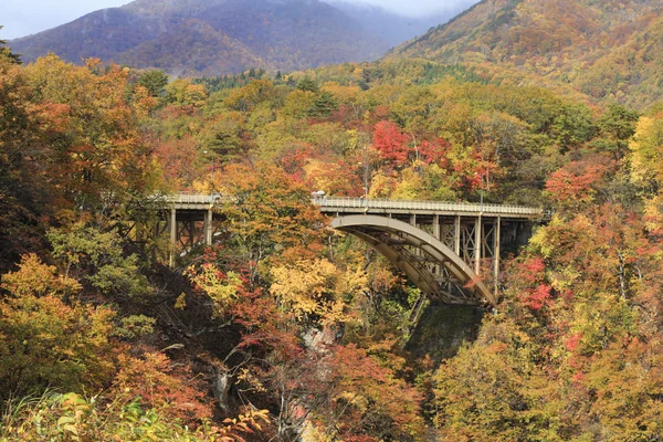 Colores otoñales de Naruko-Gorge en Japón — Foto de Stock