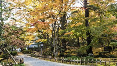 Yoğun, sıcak yapraklara kuru aydınlatmak