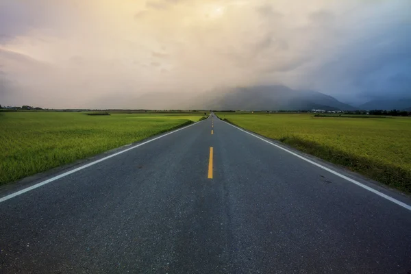 The road pass trough green rice field — Stock Photo, Image