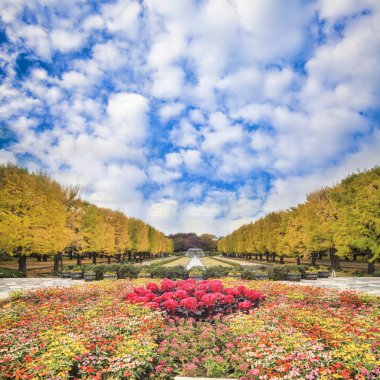 Yolun Meiji Jingu Gaien güzel Ginkgo al olan yakın