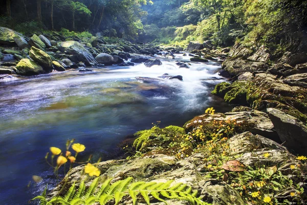 Nice river in Taiwan — Stock Photo, Image