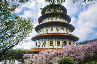 Sakura, tapınak ve mavi gökyüzü