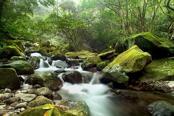 Mountain stream — Stock Photo, Image