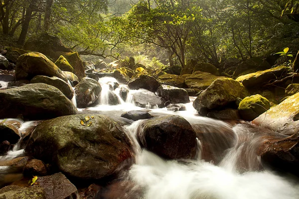 Mountain stream — Stock Photo, Image