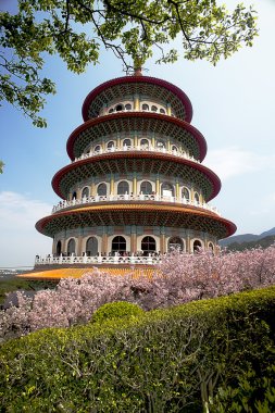 Sakura, tapınak ve mavi gökyüzü