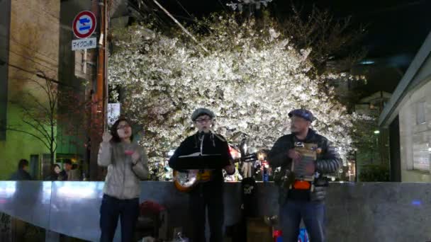 KYOTO, JAPON - 28 mars 2015 : Fleur de cerisier au bord de la rivière à Kyoto . — Video