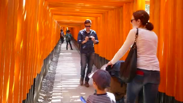 Kyoto, Japón - 28 de marzo de 2015: Kiyomizu-dera en el Templo Kyoto, Japón — Vídeos de Stock