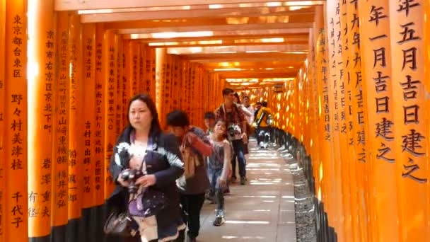 Киото, Япония - 28 марта 2015 г.: Киёмидзу-дэра в храме Киото, Япония — стоковое видео