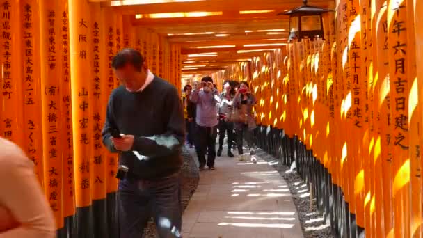 Kyoto, Japón - 28 de marzo de 2015: Kiyomizu-dera en el Templo Kyoto, Japón — Vídeos de Stock