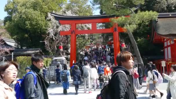 Kyoto, Japan - 28 maart 2015: Kiyomizu-dera in Temple Kyoto, Japan — Stockvideo