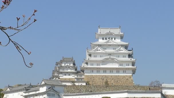 Himeji, Japan - March 28, 2015: himeji castle during cherry blossom time — Stock Video