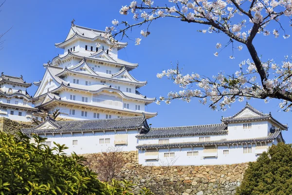 桜の開花期間中の姫路城 — ストック写真