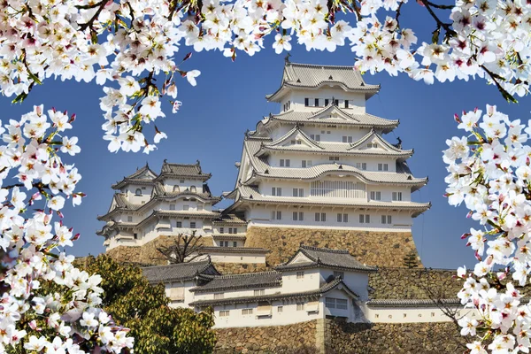 Hrad Himedži době třešňového květu — Stock fotografie