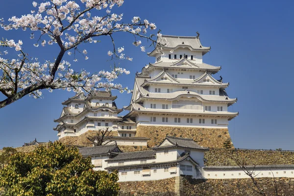 桜の開花期間中の姫路城 — ストック写真