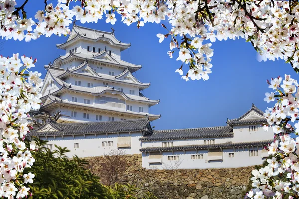 Замок химеджи во время цветения вишни — стоковое фото
