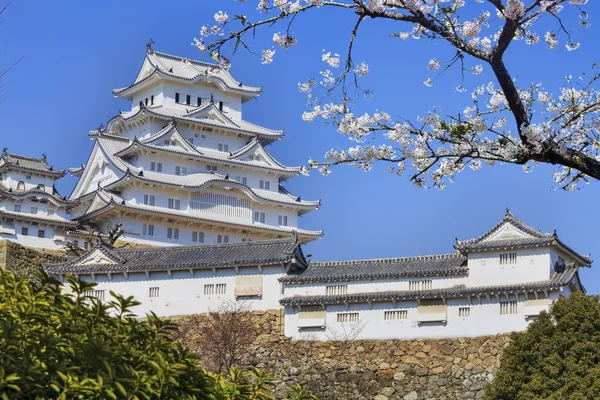 Himeji castello durante il periodo dei fiori di ciliegio — Foto Stock