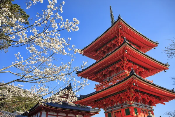 W Kioto świątynia Kiyomizu-dera — Zdjęcie stockowe