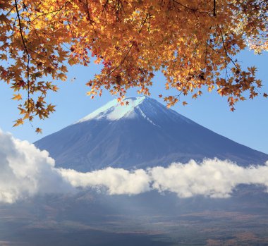 mt. fuji Japonya sonbahar renkleri ile