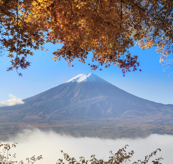 Mt. Fuji with fall colors in japan — Stock Photo, Image