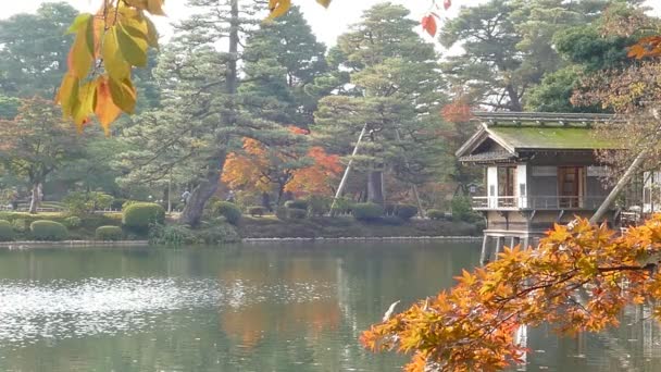 Пруд Касумига-Айке в Кенрокуенском саду в Канадзаве — стоковое видео