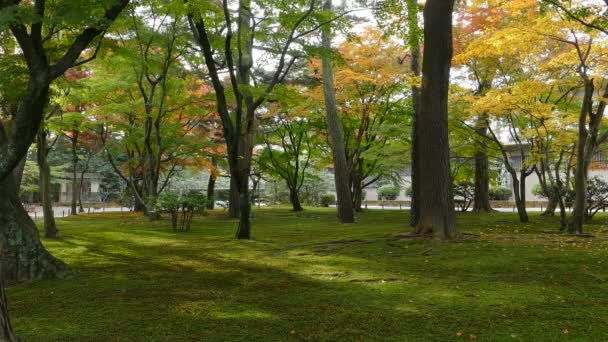 Kasumiga-ike vijver bij Kenrokuen tuin in Kanazawa — Stockvideo