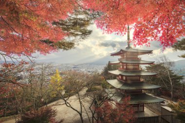 mt. fuji Japonya sonbahar renkleri ile