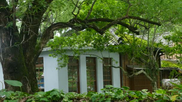 Museo de Literatura de Ilan — Vídeos de Stock