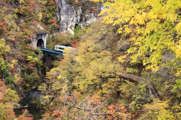 Sonbahar renkleri, değil-Gorge adv için Japonya'da veya diğer kullanım amacı