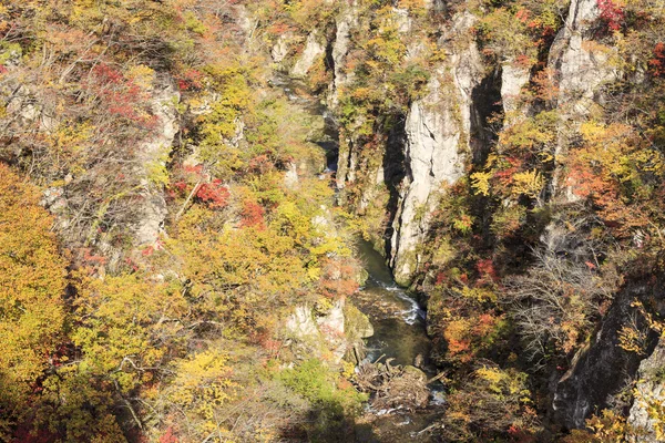 Autumn Colors of Naruko-Gorge in Japan for adv or others purpose use — Stock Photo, Image