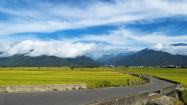 De schoonheid van de landbouwgrond in taitung taiwan — Stockfoto