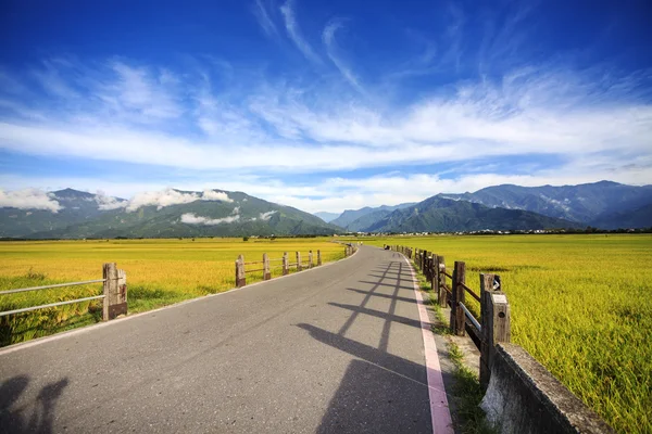 A beleza das terras agrícolas em Taitung Taiwan — Fotografia de Stock