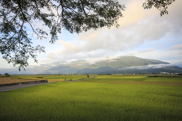 A beleza das terras agrícolas em Taitung Taiwan — Fotografia de Stock