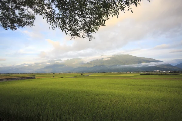 A beleza das terras agrícolas em Taitung Taiwan — Fotografia de Stock